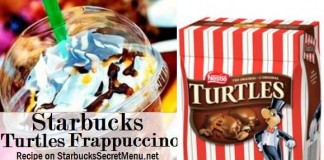 turtles frappuccino