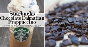 chocolate dalmatian frappuccino
