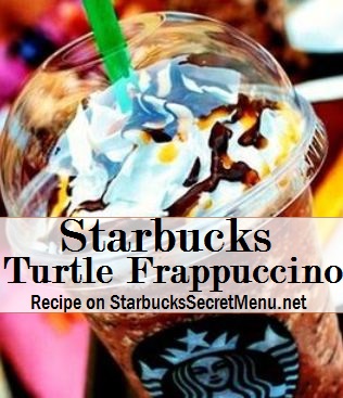 turtle frappuccino