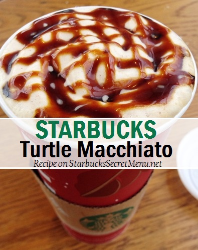 turtle macchiato