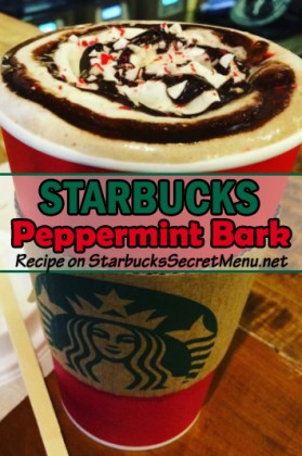 peppermint mocha starbucks frappuccino bottle