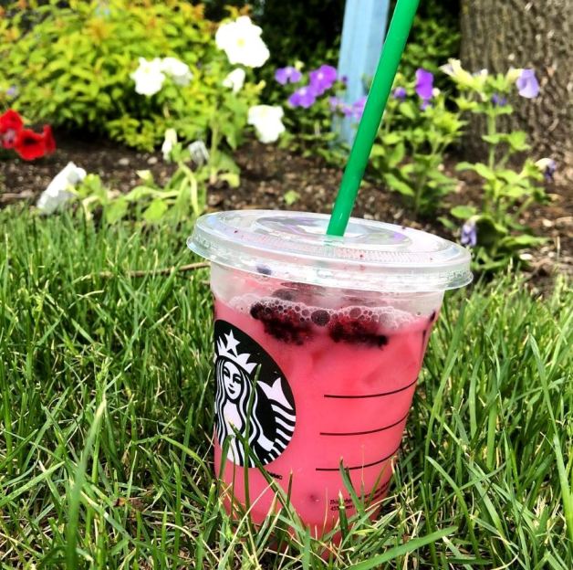 starbucks secret menu pink drink