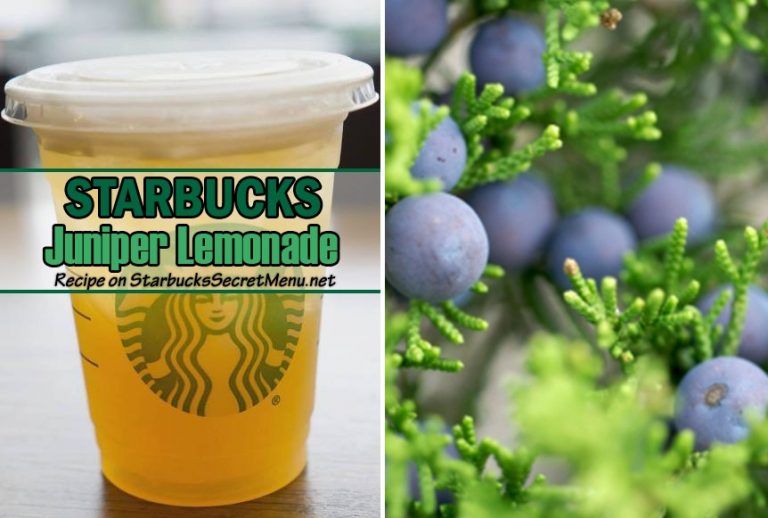 Juniper Lemonade | Starbucks Secret Menu